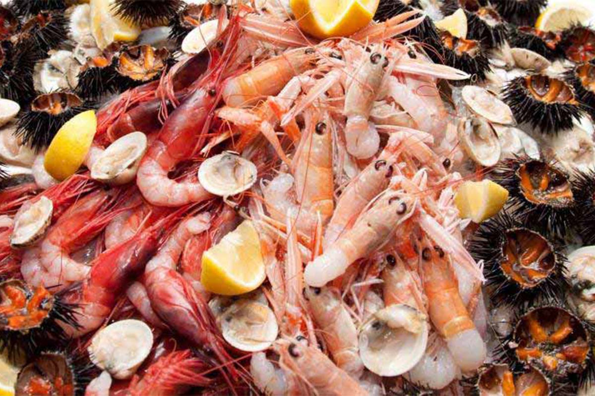 Gran Buffet di Pesce Crudo 22 febbraio Hotel Cison di Valmarino